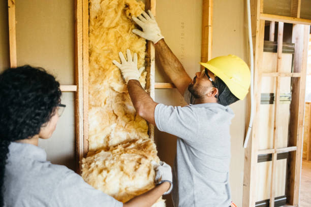Insulation for Commercial Buildings in Sand Point, AK